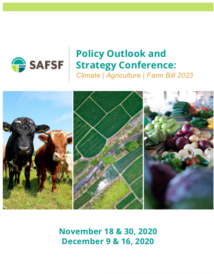 2020 SAFSF Policy Convening Cover Image