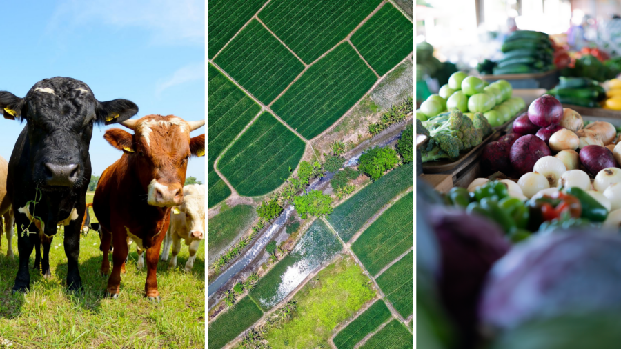 2020 Policy Convening Report